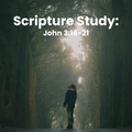 Scripture Study: John 3:16-21