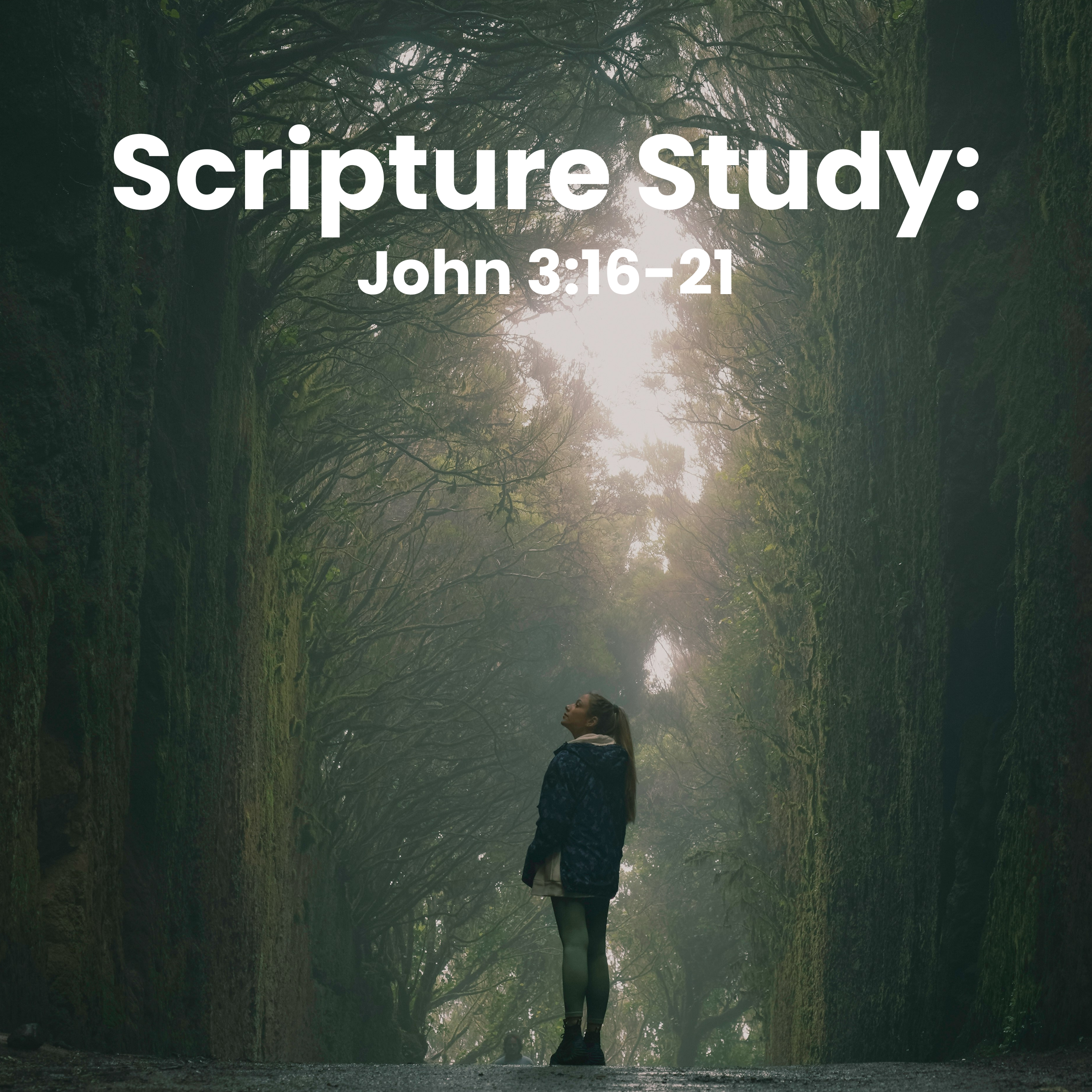 Scripture Study: John 3:16-21