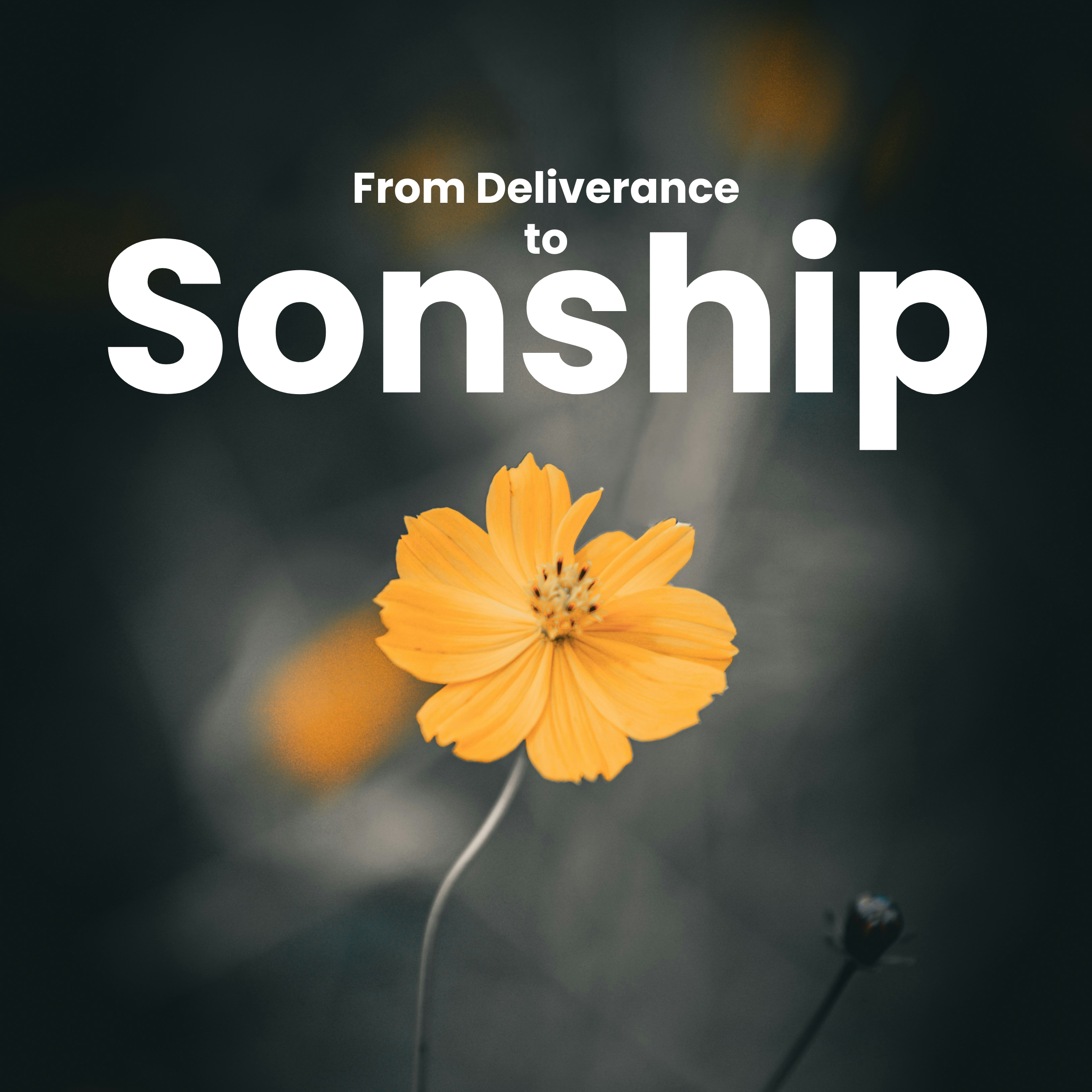 From Deliverance to Sonship