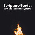 Scripture Study: Why the Sacrificial System?