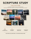 Scripture Studies Bundle